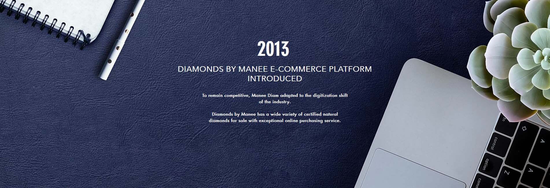 Best Diamond Wholesaler - Diamonds By Manee